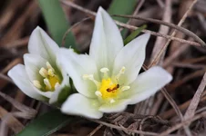 2011_04_24_6254.webp