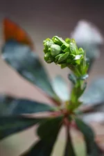 2011_04_25_6373.webp