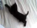 DSC00413.webp