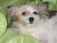 DSCF9622.webp