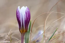 2011_04_24_6270.webp