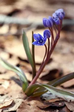 2011_04_25_6323.webp