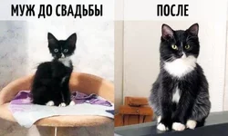 21_123.jpg