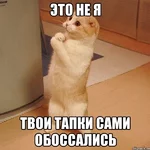 kote_60020638_orig_.jpg