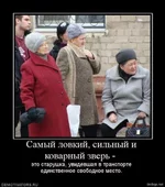 berloga.net_1092911012.webp