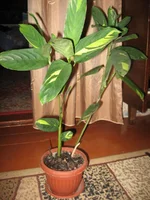 IMG_6399.webp