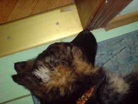 DSC00191.webp