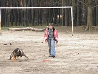 P4210174.webp
