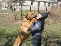 2011-04-20 14.01.43.webp