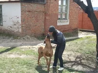 2011-04-20 14.01.30.webp