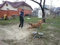 2011-04-20 14.04.35.webp
