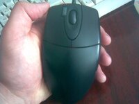 mouse1.jpg