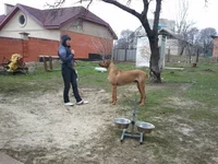 2011-04-20 14.04.32.webp