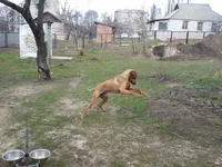 2011-04-20 14.05.38.webp