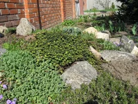gorka april.webp