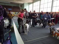DSCF0500.webp