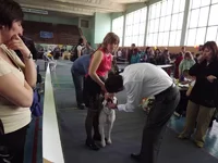 DSCF0502.webp