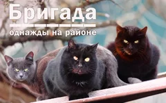 1111.webp