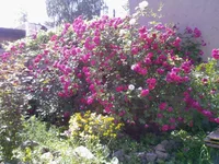 Photo-0021.webp