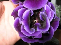 IMG_5849.webp IMG_5849.webp