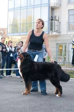 DSC_1282.webp