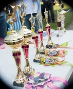 DSC_1466.webp