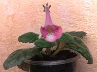 03052011316.webp