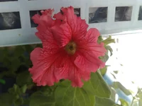 03052011309.webp
