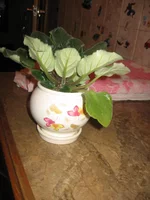 IMG_0427.webp