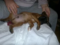 04052011362.webp