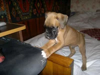04052011361.webp