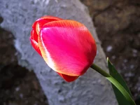 DSCF0697.webp
