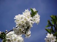 DSCF0721.webp