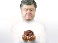 uliya-Timoshenko-sharzh-karikatura-prikol-07-04-14.jpg