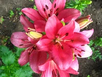 IMG_5615.webp