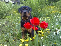 14052007097.jpg