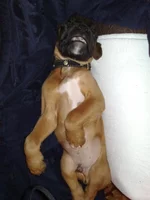 07052011011.webp