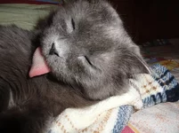 y_6d5e6550.webp
