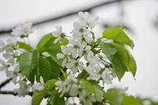 XO3H0037.webp