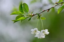 XO3H0038.webp
