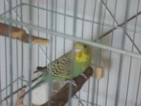 DSC02830.webp