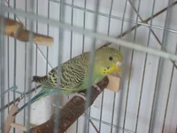DSC02831.webp