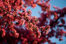 XO3H0086.jpg