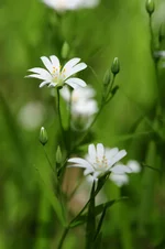 PAP_0645.jpg