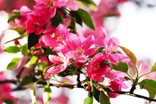 PAP_0845a.webp