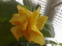 08052011407.jpg