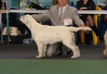 Мариуполь 1 мая 2011 382.jpg