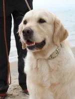 Мариуполь 1 мая 2011 505.jpg