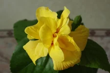 IMG_8759.jpg