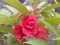 Photo-0131.webp